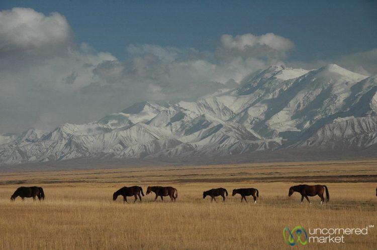 Alay Region Travel Guide