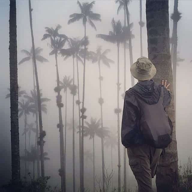 Colombia Travel, Cocora Valley