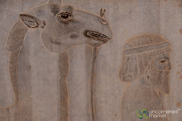 Apadana Palace Reliefs of Subject Nations - Persepolis, Iran
