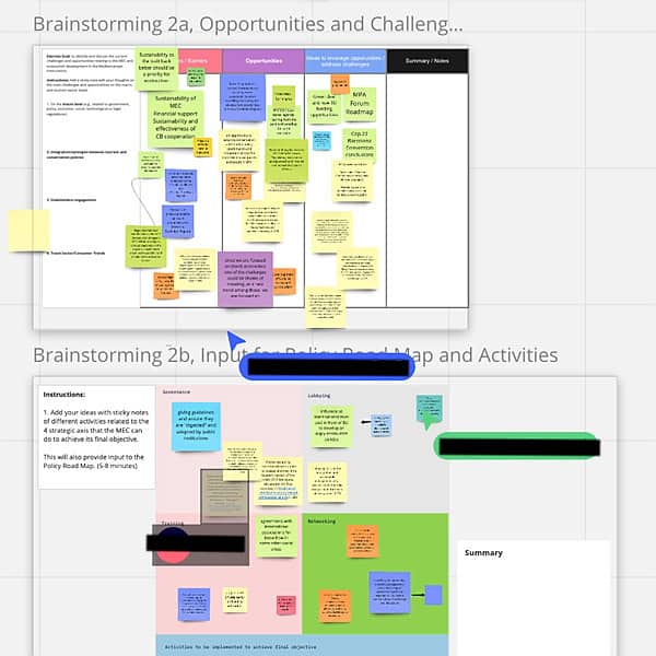 Ecotourism Think Tank Virtual Facilitation