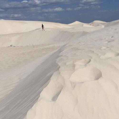 Assisted Serendipity