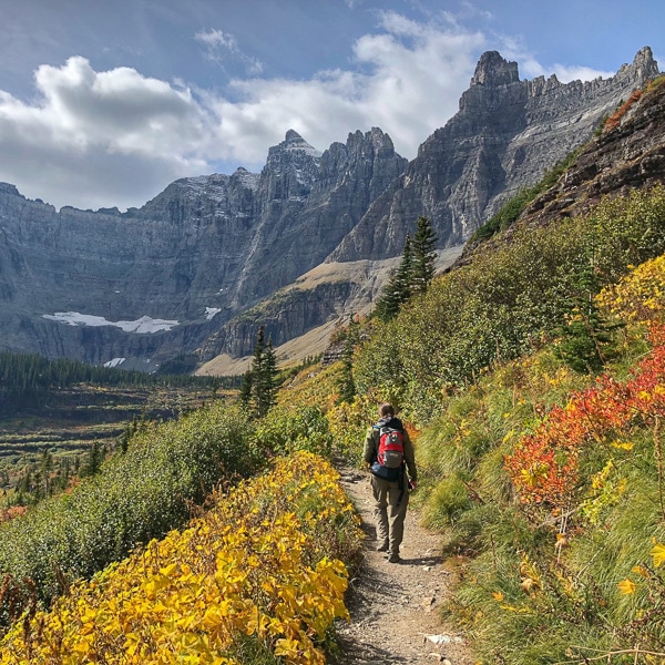 Sustainability Trainings and Webinars