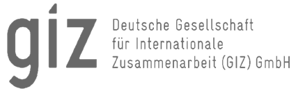 GIZ logo